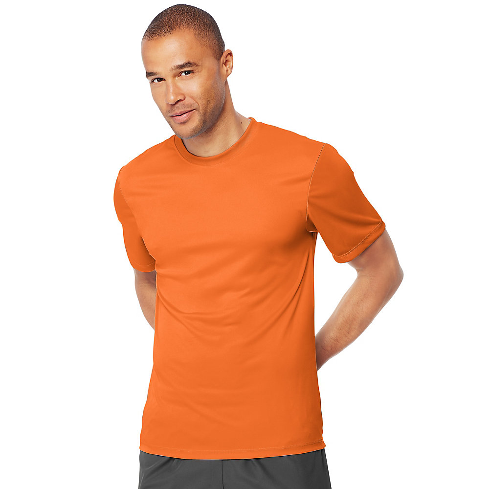 Hanes Cool DRI TAGLESS Men's T-Shirt - 4820