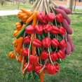 thumbnail image 4 of MesaSe Artificial Fruit Foam Vegetable Corn Pepper Garlic Hanging Photo Prop Home Decor, 4 of 8