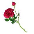 thumbnail image 2 of Baohd 2-head Artificial Camellia Bouquet Simulation Flower Table Centerpiece artificial Floral Decor, Purple Red, Dark Rose Red, 2 of 7
