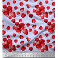 thumbnail image 1 of Soimoi Rayon Crepe Fabric Raspberry,Strawberry & Cherry Fruits Printed Craft Fabric by The Yard 46 Inch Wide, 1 of 3