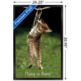 thumbnail image 3 of Famous Kitten Hang In There Poster Wall Poster, 22.375" x 34", 3 of 5