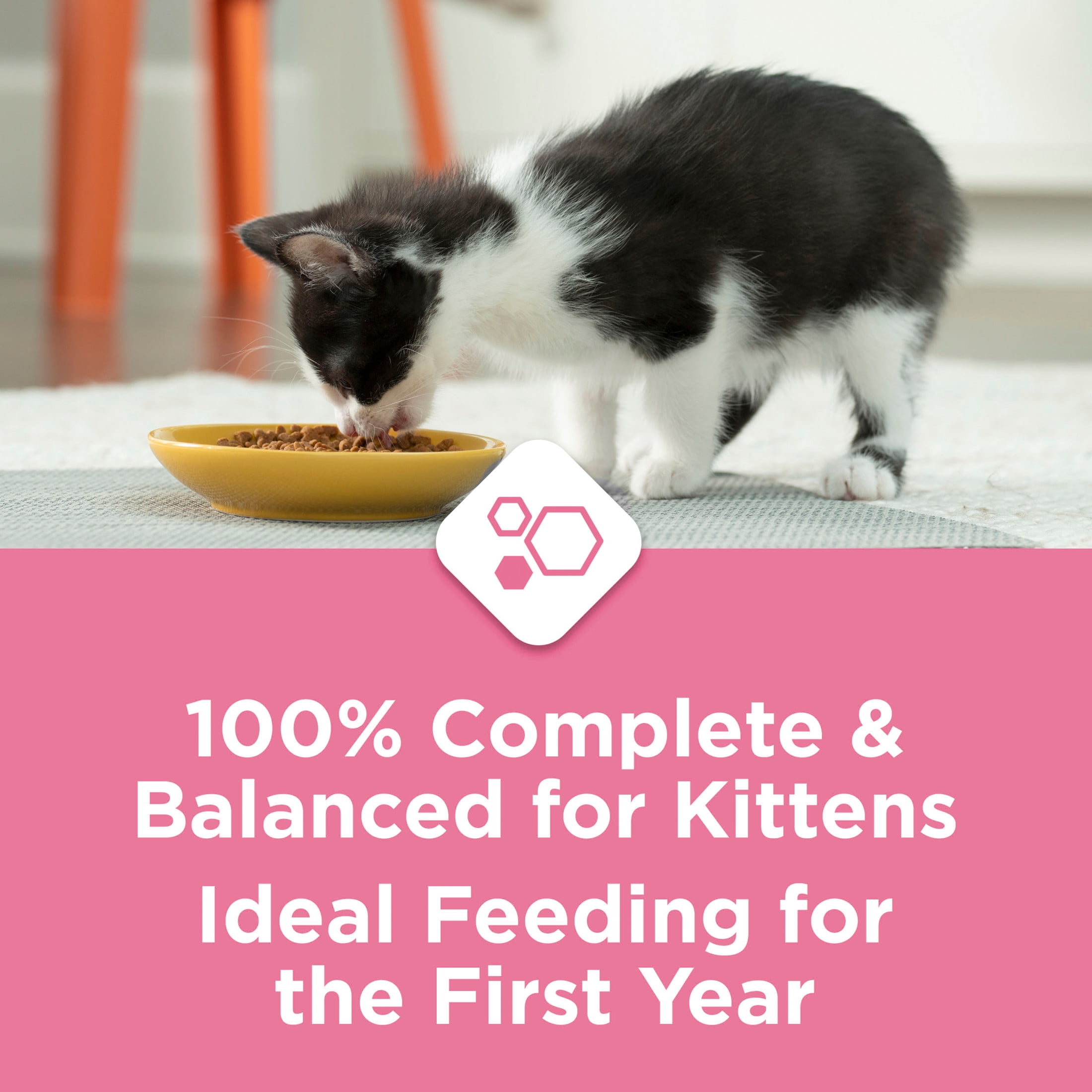 Purina Kitten Chow Nutrition Avancée pour Chatons, Nourriture Sèche pour Chatons 5.67kg
