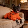 thumbnail image 3 of Winter Windproof Dog Trench Coat for Outdoor Adventures Fashionable Warm Pet Apparel Cold Weather Attire, 3 of 3