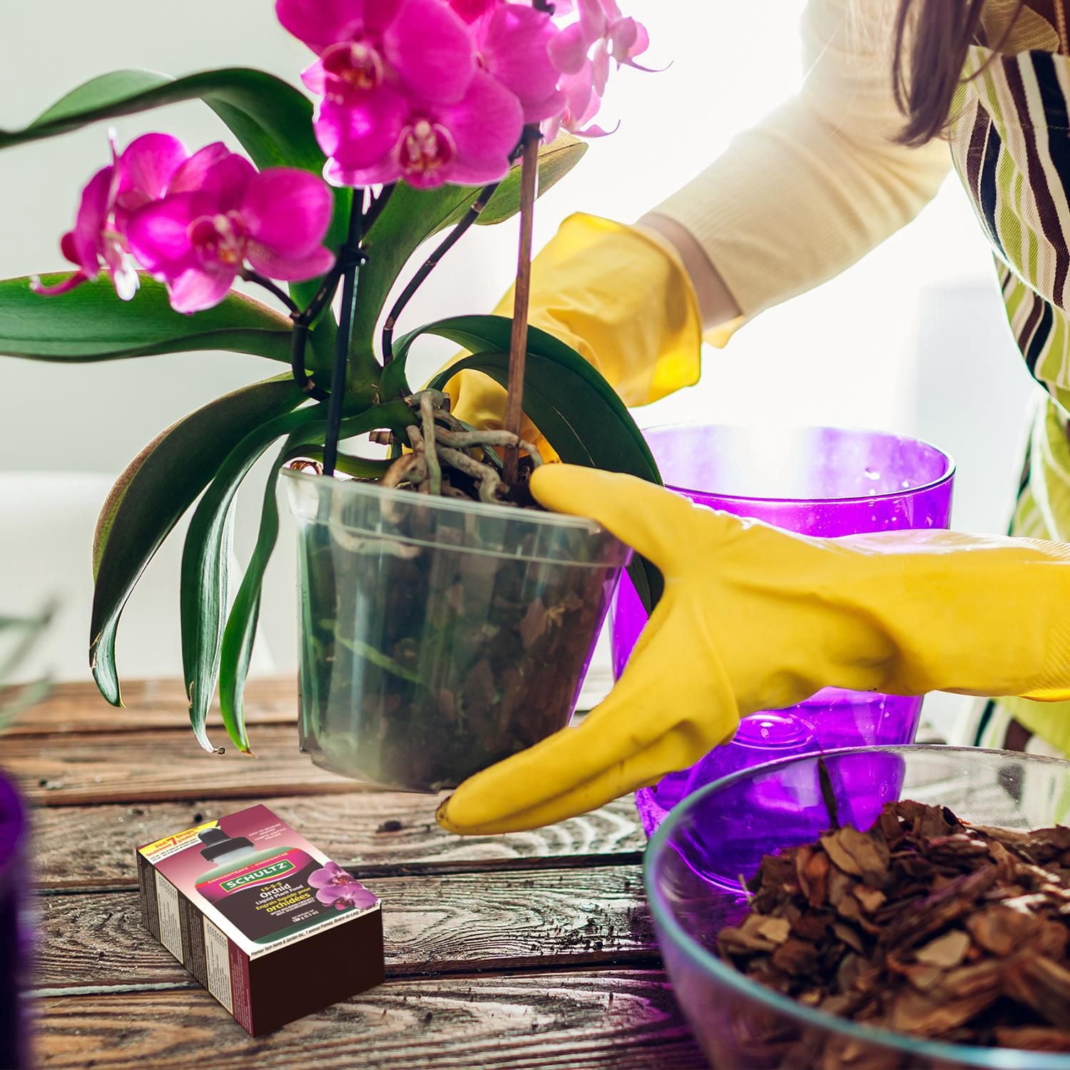 Engrais liquide pour orchidées 15-5-5 de Schultz® 150 g