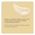 thumbnail image 4 of Hairitage Length Check Shampooing à la Biotine pour Cheveux Secs et Abîmés, 4 of 8