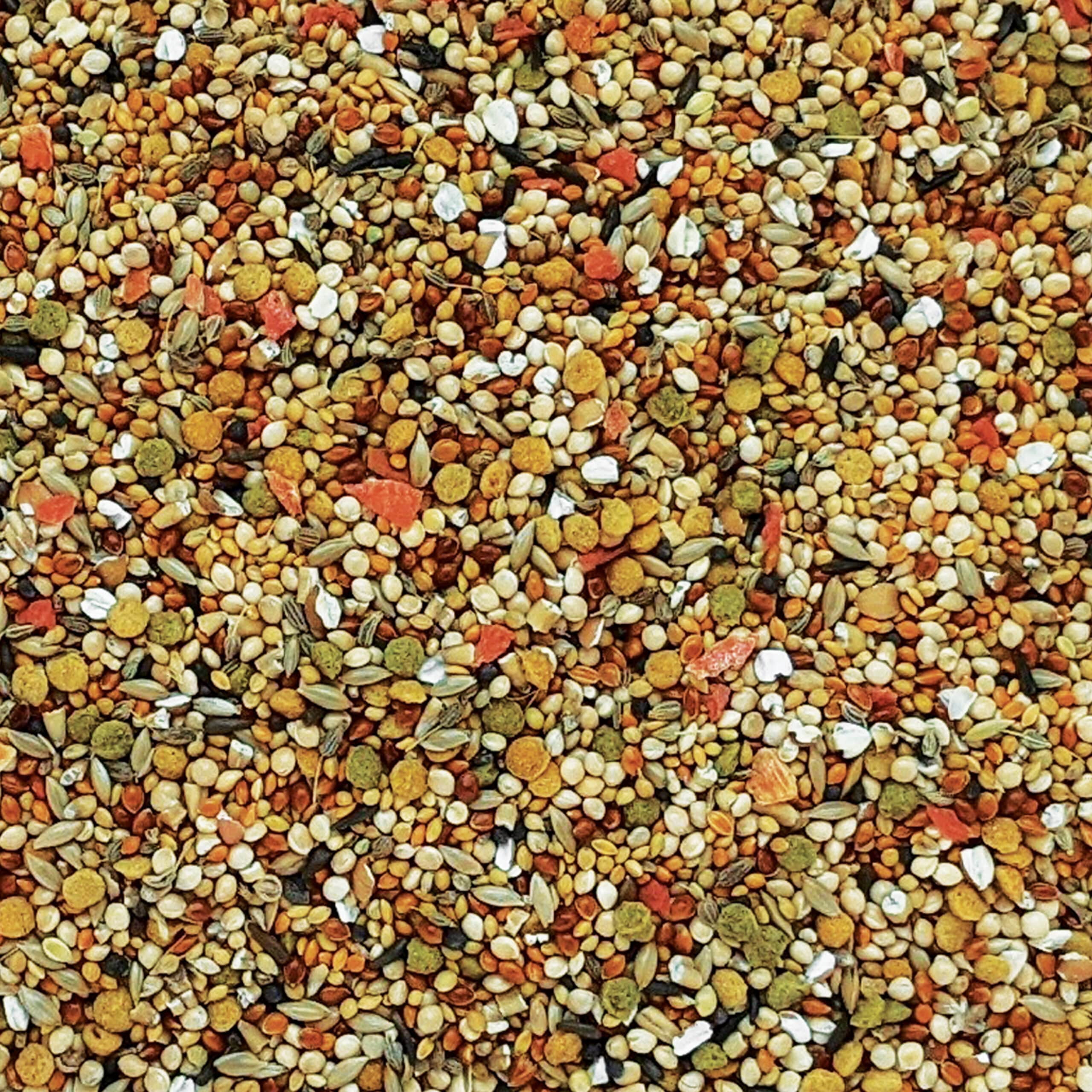 HARI Gourmet Premium Seed Mix for Finches - 1 kg (2.2 lb)