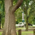 thumbnail image 3 of Perky-Pet Squirrel Slammer Wild Bird Feeder, 3 of 9