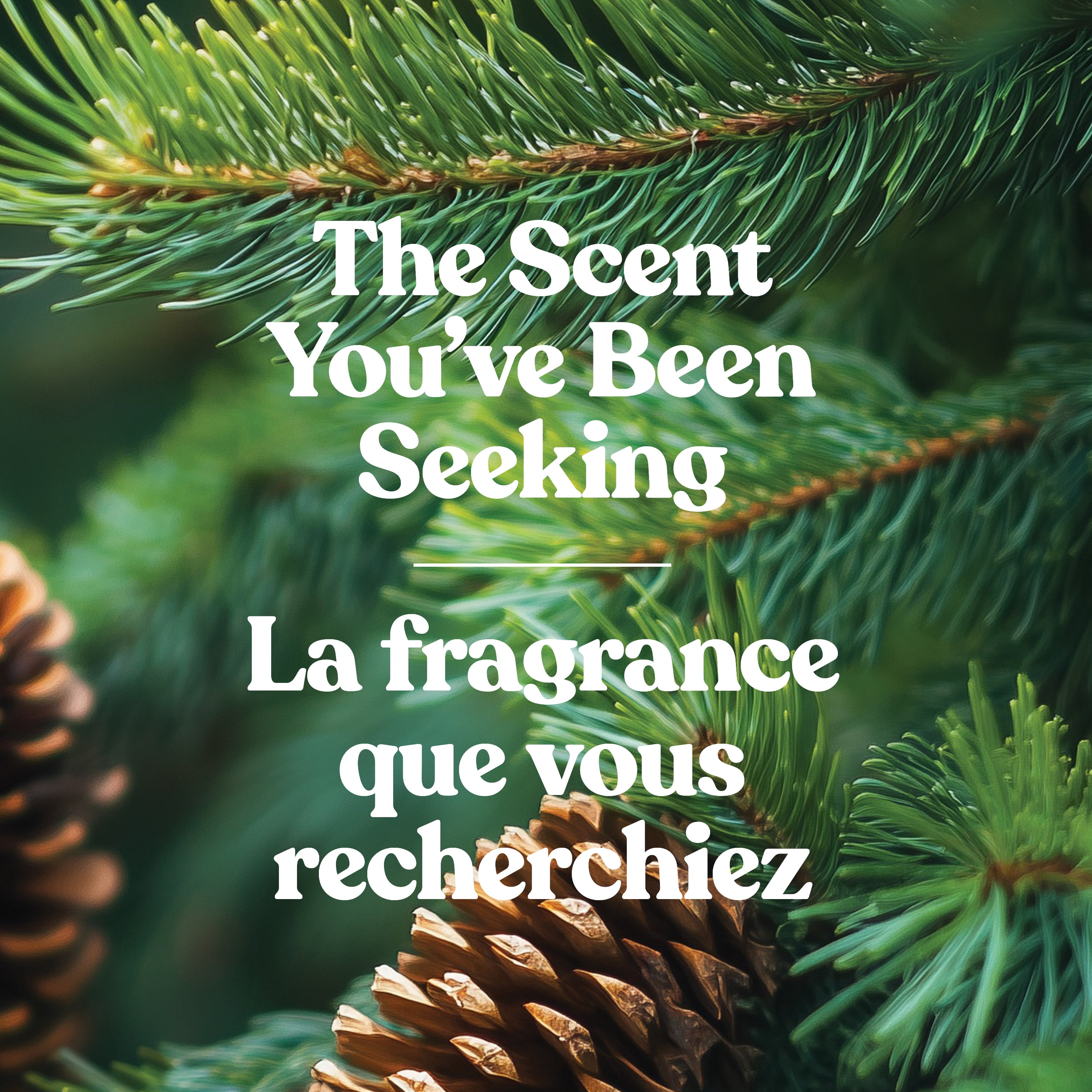 Bougie en pot parfumée Yankee Candle, collection Studio