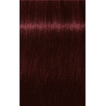 thumbnail image 2 of Schwarzkopf Igora Royal 4-88 Brun Moyen Rouge EXTRA, 60 g, 2 of 2