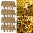 thumbnail image 2 of Vanilla Beekeeping Smoker Fuel Kit - 54pcs, 20 Min Burn Time, Easy to Use, 2 of 8