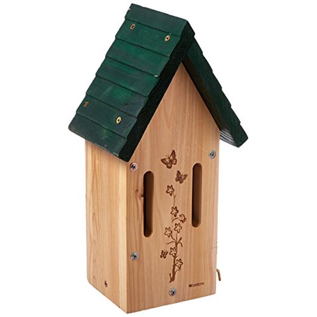 Maison Papillon