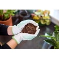 thumbnail image 4 of Miracle-Gro Tropical Potting Soil Mix 8.8L, 4 of 6