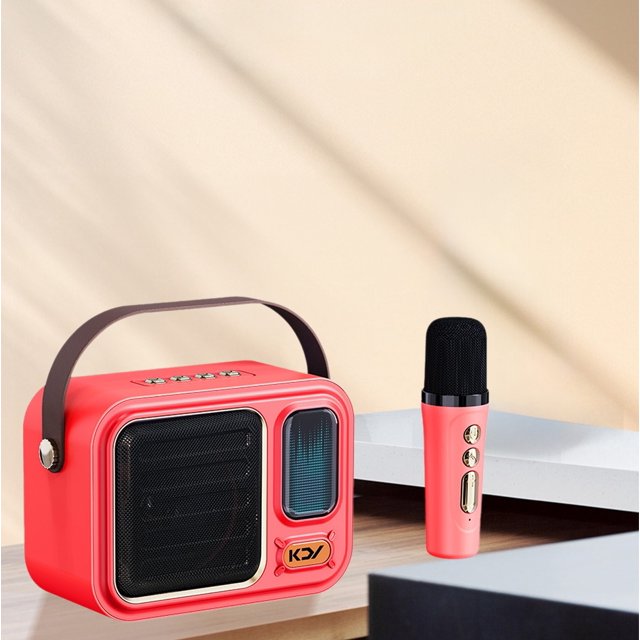 HOARBOEG Haut-Parleur Bluetooth Mini Intégré Chantant et Microphone Portable en Liquidation