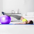 thumbnail image 2 of PurAthletics Ballon D'Exercice 55cm, 2 of 5