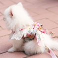 thumbnail image 2 of Princess Dog Harness With Bowknot and Leash For Outdoor Walking, 2 of 6