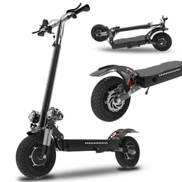 Segway Ninebot E22 Electric Kick Scooter, Lightweight and Foldable
