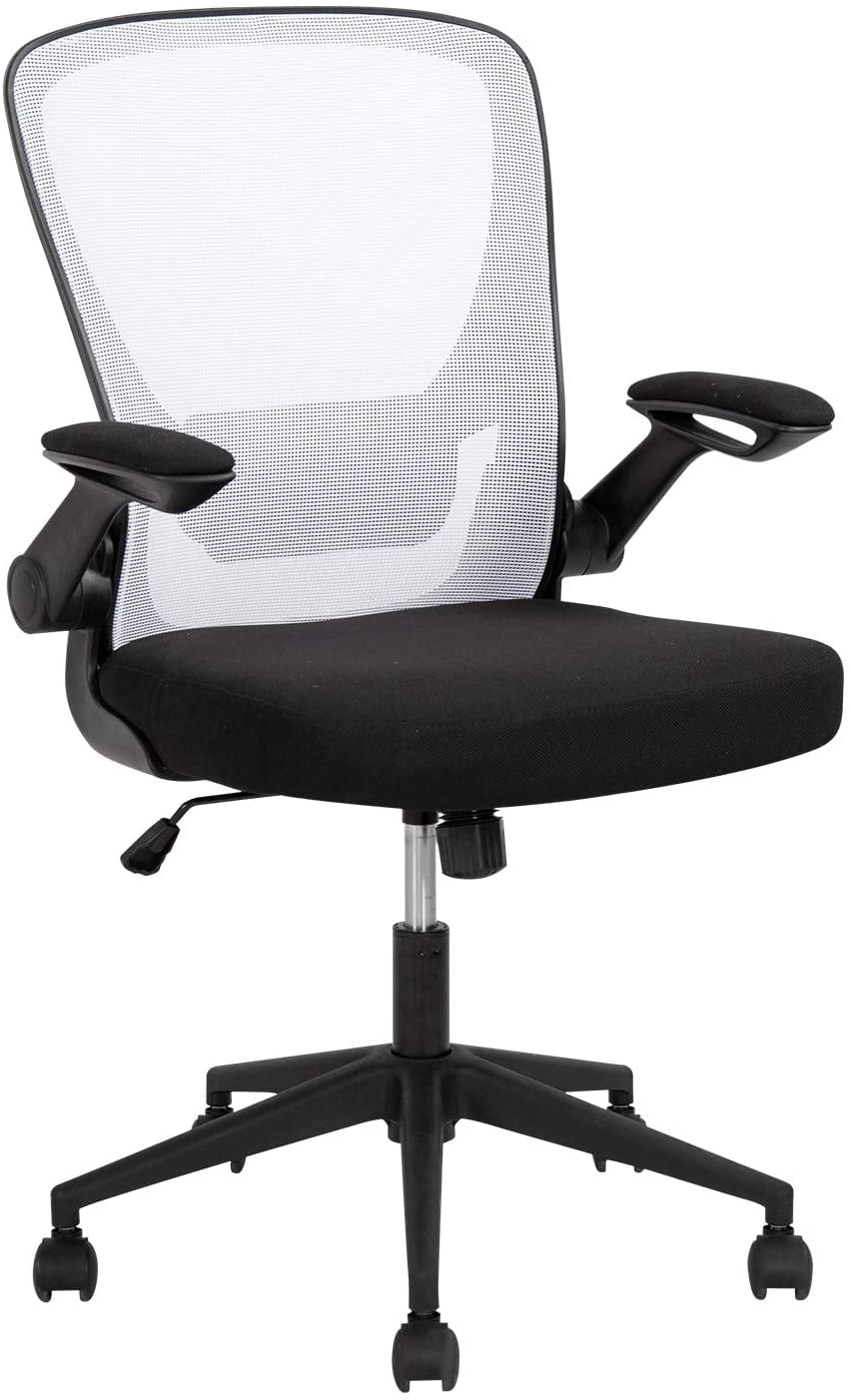 FDW Office Chair, Lumbar Support Flip-up Arms Swivel Rolling Executive Mesh Adjustable, White