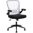 thumbnail image 1 of FDW Office Chair, Lumbar Support Flip-up Arms Swivel Rolling Executive Mesh Adjustable, White, 1 of 7