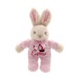 thumbnail image 1 of Way To Celebrate My 1st Easter Bunny, Pink, 1 of 6