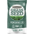 thumbnail image 1 of Pennington Seed GRASS SEED KY31 TF 40# (Pack of 1), 1 of 1