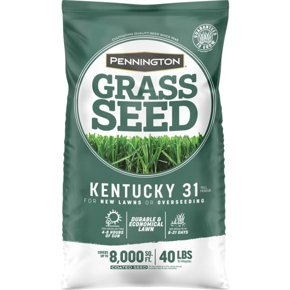 Pennington Seed GRASS SEED KY31 TF 40# (Pack of 1)