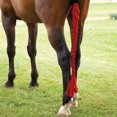 thumbnail image 4 of Sac de Queue de Cheval en Polyester Garde la Peau Propre Tressage Facile Sac de Queue 3 Tubes pour Cheval, 4 of 7