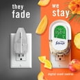 thumbnail image 4 of Febreze Plug In Air Freshener, Odor-Fighting Scented Oil Refill, Hawaiian Aloha Scent, 3 Refills, 4 of 16