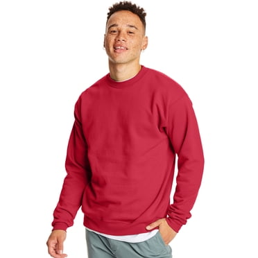 Hanes Chandail en Molleton EcoSmart pour Hommes, Lot de 2, 2TG, Acier Pâle