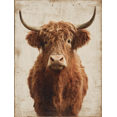 thumbnail image 1 of Highland Cow Rustic Canvas Wall Art 15.75x11.81 Inches, 1 of 8