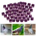 thumbnail image 4 of Yingyy 100 Pcs 2022 Anneaux de Pied de Pigeon de Course en Aluminium Dove Entraînement des Chiffres 8 mm Violet, 4 of 8