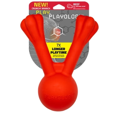 Playology Jumbo Crunchy Branch - Beef Scented Dog Toy