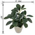 thumbnail image 3 of Mainstays 11in Indoor Artificial Plant in Pot, Green Peperomia., 3 of 5