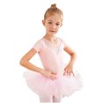 thumbnail image 2 of Baby Girls Childrens Dance Clothes Summer Short Sleeves Training Clothes Ballet One-piece Performance Clothes Skirt Set, 2 of 9
