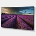 thumbnail image 2 of Champ de Lavande et Ciel Dramatique - Impression sur Toile Florale, 2 of 3