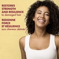thumbnail image 3 of SheaMoisture Huile de Ricin Noire de Jamaïque Masque Traitement Réparateur pour les Cheveux Revitalisant en Profondeur pour Cheveux Abîmés Renforcer & Rétablir Sans Sulfates, Sans Parabènes, 3 of 8