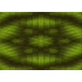 thumbnail image 1 of Ahgly Company Tapis Rectangulaire Lavable en Machine Intérieur Transitionnel Vert Forêt Foncé, 8 Pieds x 10 Pieds, 1 of 7