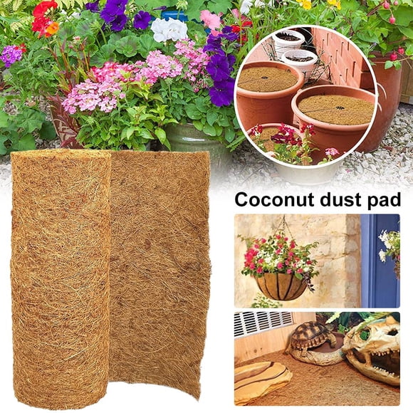 Coconut Roll | Walmart Canada