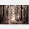 thumbnail image 3 of Sentier Forestier en Sépia, 3 of 3