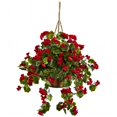 thumbnail image 1 of Geranium Hanging Basket UV Resistant, Indoor & Outdoor - Red, 1 of 1