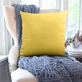 thumbnail image 3 of Dvruxg Velvet Throw Pillow Covers 16x16 Inch - Soft Square Decorative Cushion Cover for Couch, Sofa, 3 of 5