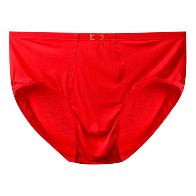 Men's Underwear Soft Breathable Comfortable Stretch Briefs for Everyday Wear