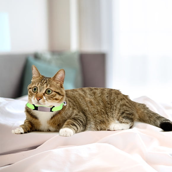 Oliegs Heated Blanket 8 Color Off The Shelf Cat Collar Can Be Broken Cat Callor Cat Collar Chocolate