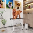 thumbnail image 2 of PawHut Dog Grooming Table, Pet Grooming Table w/ Adjustable Arm, Black, 2 of 10