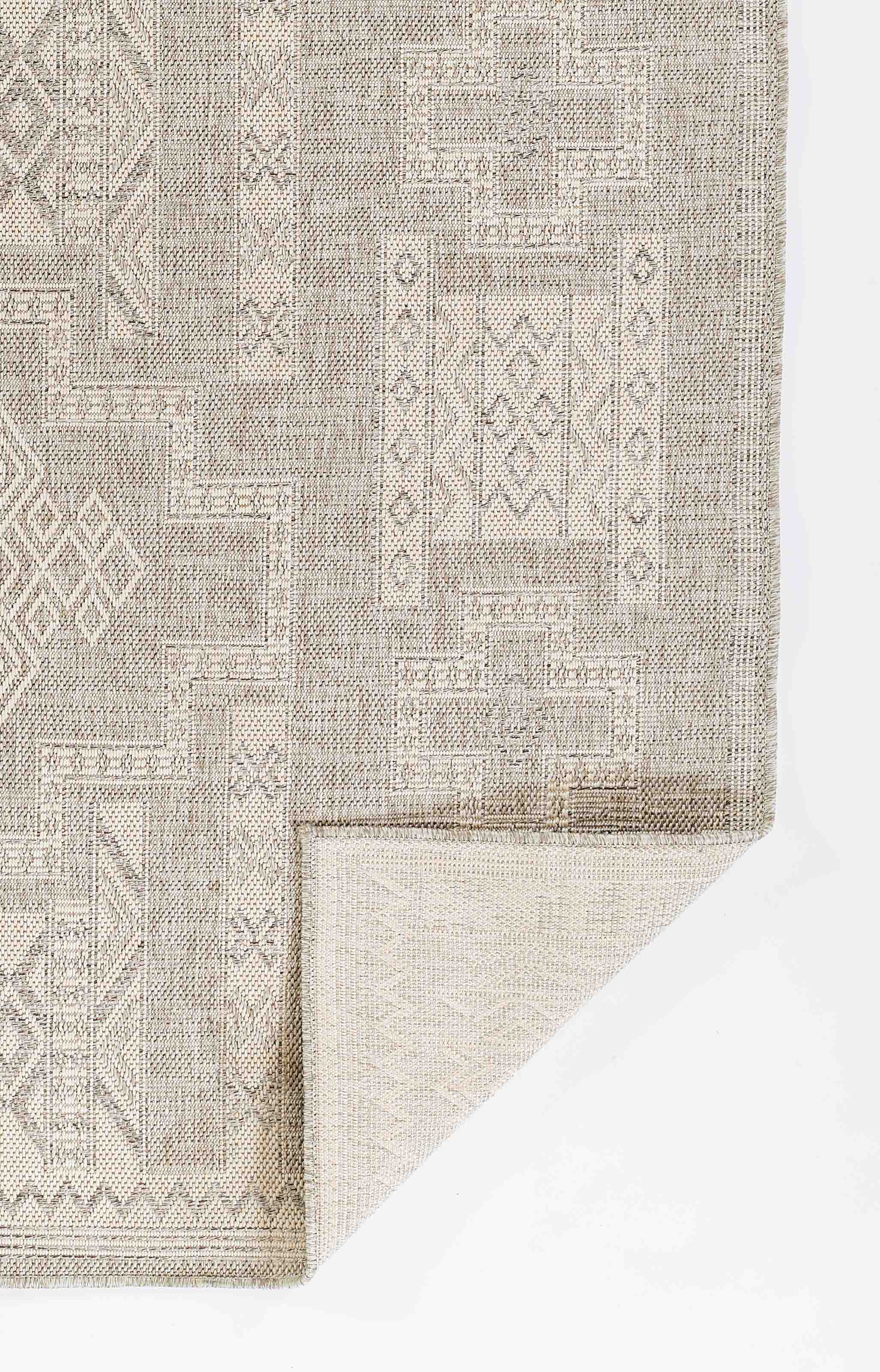 ECARPET Nyra Transitional Area Rug for Living Room, Bedroom, Dining Entrance, Hallway and More.