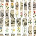 thumbnail image 3 of simhoa 30 Pcs Autocollants de Scrapbooking, Autocollants de Notes en Papier de Journal Intime Autocollants de Sceau Journal H, 3 of 4