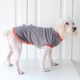 thumbnail image 3 of Pull pour Chien Vêtements Chauds d'Hiver avec Foulard, 3 of 11
