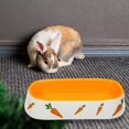 thumbnail image 3 of fastboy Non Slip Rabbit Feeder Bowl Feeding Basin for Hedgehog Gerbils Puppy Kitten 19cmx8.3cmx4.2cm, 3 of 9