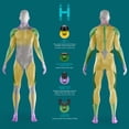 thumbnail image 4 of HoMedics Rebound Percussion Mini Massager, 4 of 6