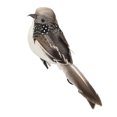 thumbnail image 1 of RYRDWP Fake Mini Birds Artificial Feather Foam Decoration Ornament, 1 of 1