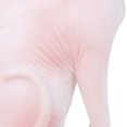 thumbnail image 1 of Gupbes Modèle de Chat Modèle de Chat Sans Poils, Enfants Exquis pour les Enseignants Beaux Collectionneurs de Cadeaux, 1 of 8